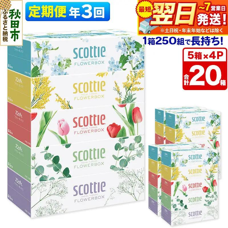 《4ヶ月ごとに3回お届け》定期便 ティッシュペーパー スコッティ フラワーボックス250組 20箱(5箱×4パック) ティッシュ 秋田市オリジナル 最短翌日発送