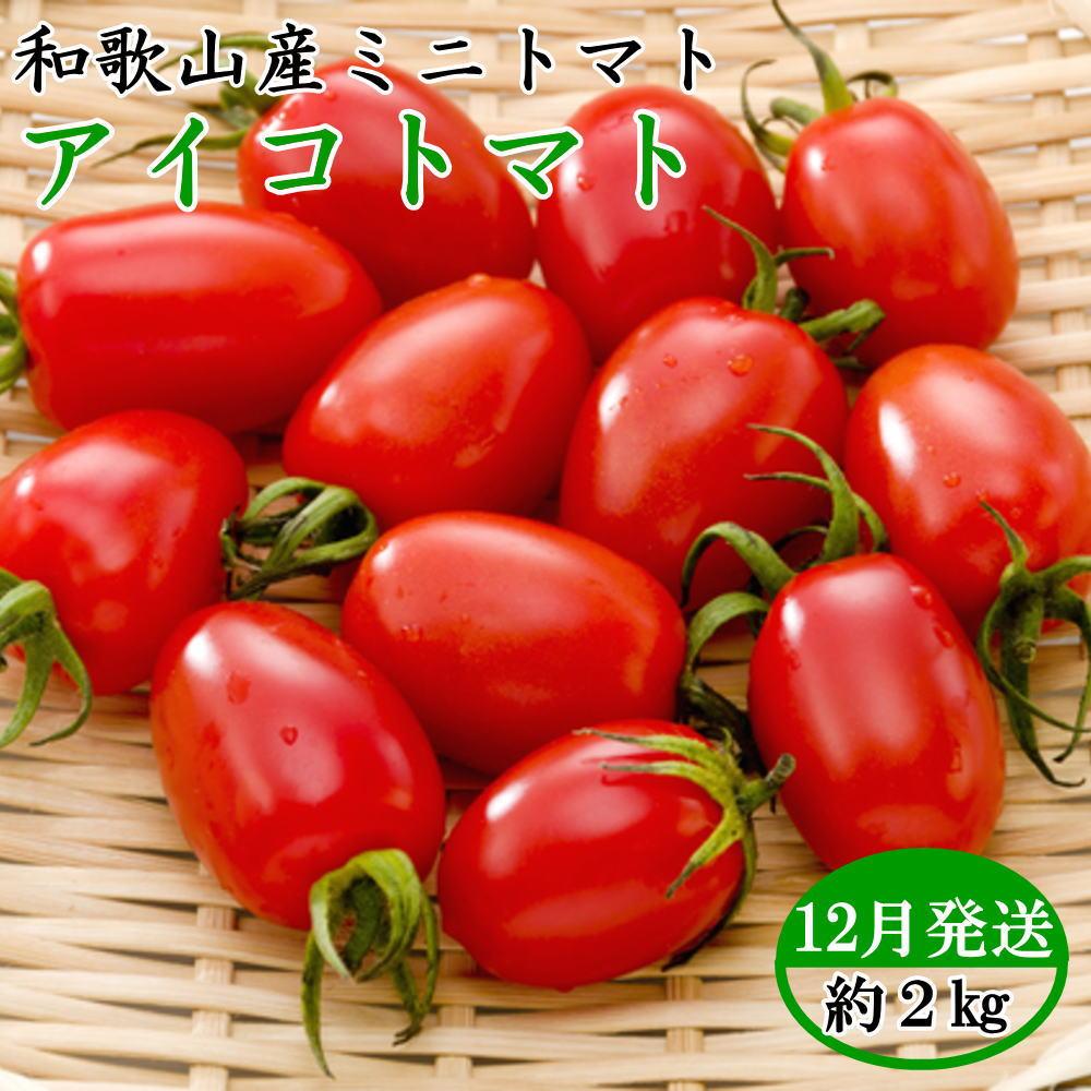 【ふるさと納税】［2025年12月出荷分］和歌山産ミニトマト「アイコトマト」約2kg（S・Mサイズおまかせ）［TM158］ | はるか フルーツ 果物 くだもの 食品 人気 おすすめ 送料無料