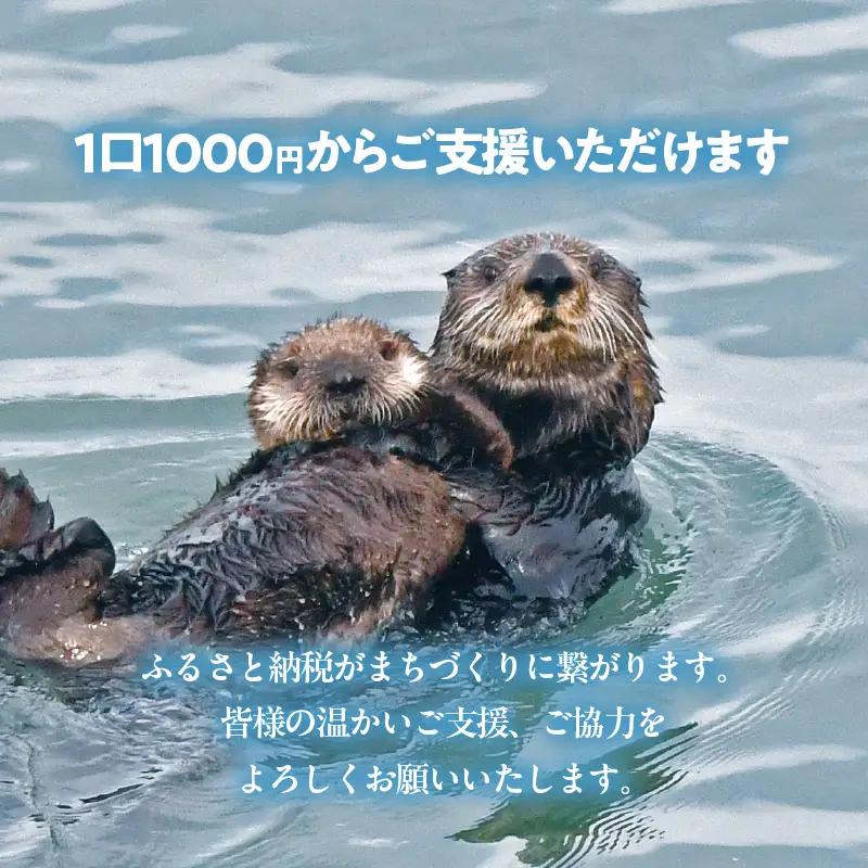 ラッコを見守る岬「きりたっぷ岬」周辺の環境整備　50000円分 返礼品なし_H0028-014