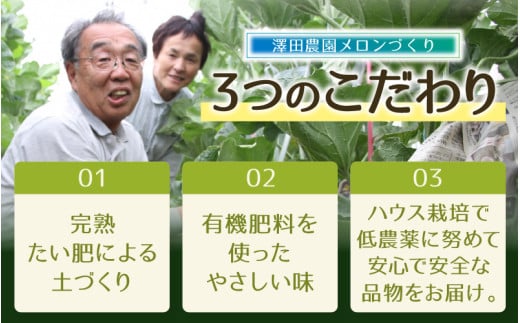 【先行予約】赤肉マスクメロン（1.5kg以上 1玉入）味も見た目も抜群！アールスメロン  / 期間限定 果物 フルーツ 産地直送 赤肉 人気 ギフト 贈答 ※2026年7月上旬より順次発送 [aw03