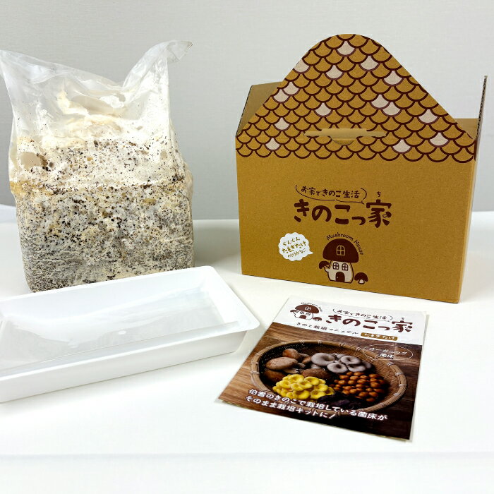 【ふるさと納税】おうちで楽しむ たもぎたけ栽培キット きのこっ家 きのこ たもぎたけ タモギタケ 栽培 キット 菌床 1個 鳥取県 日吉津村
