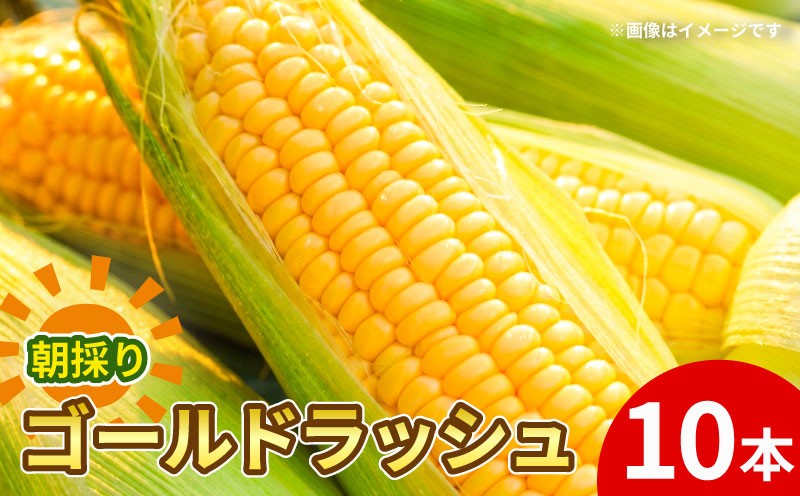 
                  【先行予約】 朝もぎ とうもろこし 10本 ゴールドラッシュ 《10月下旬より順次発送》 京都 京都府 コーン トウモロコシ 久御山 久御山町 新鮮 甘い 糖度 朝どれ 朝採れ 野菜 旬 産地直送 ギフト 夏野菜 秋野菜 1万円 10000円 農園Wave village
                