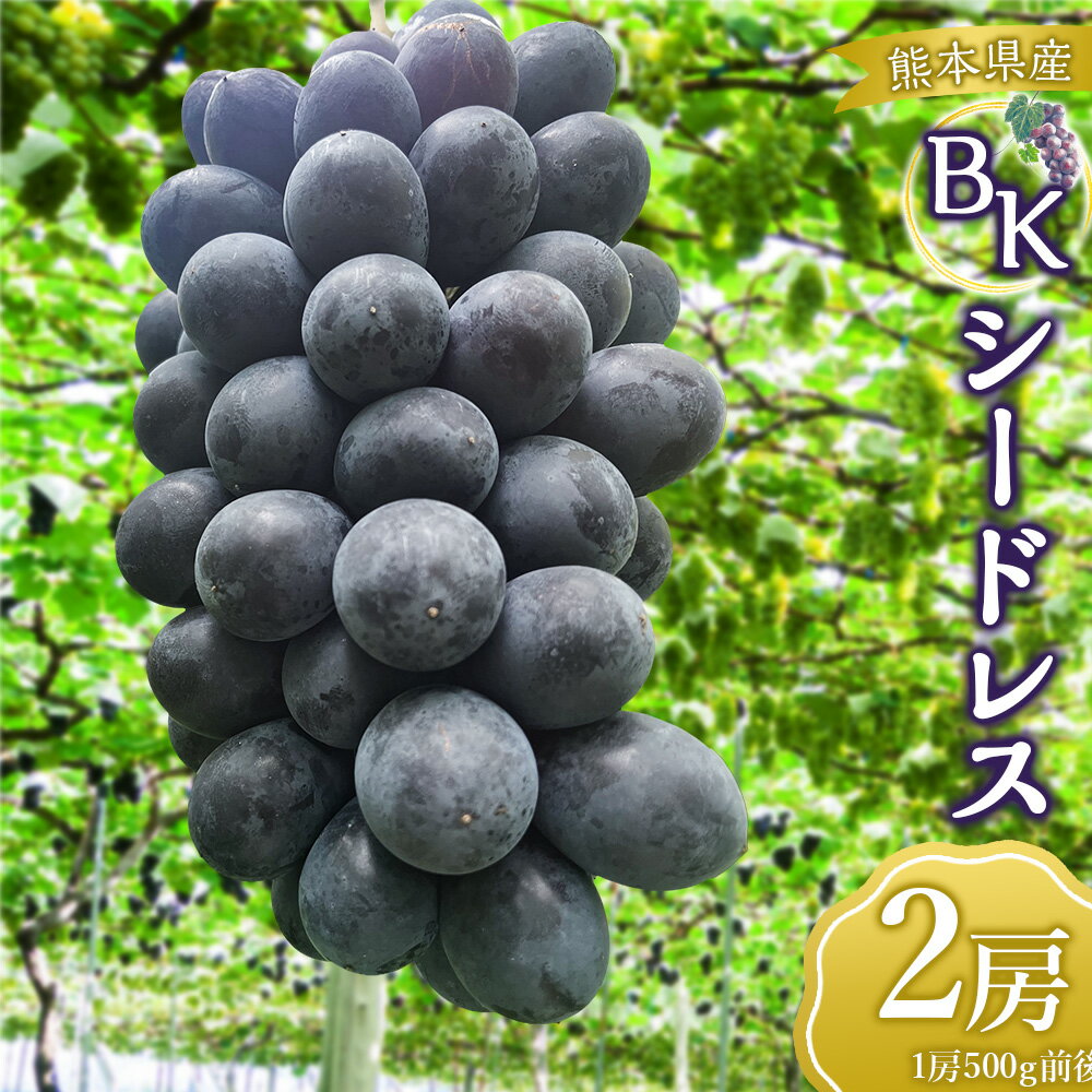 【ふるさと納税】BKシードレス2房（500g前後×2房）【2026年8月上旬上旬発送開始】 葡萄 フルーツ 果実 果物 おやつ デザート 種無し 酸味 甘味 食感 詰合せ ご褒美 贅沢 プレゼント 贈り物 国産 冷蔵 熊本県九州 熊本県 送料無料
