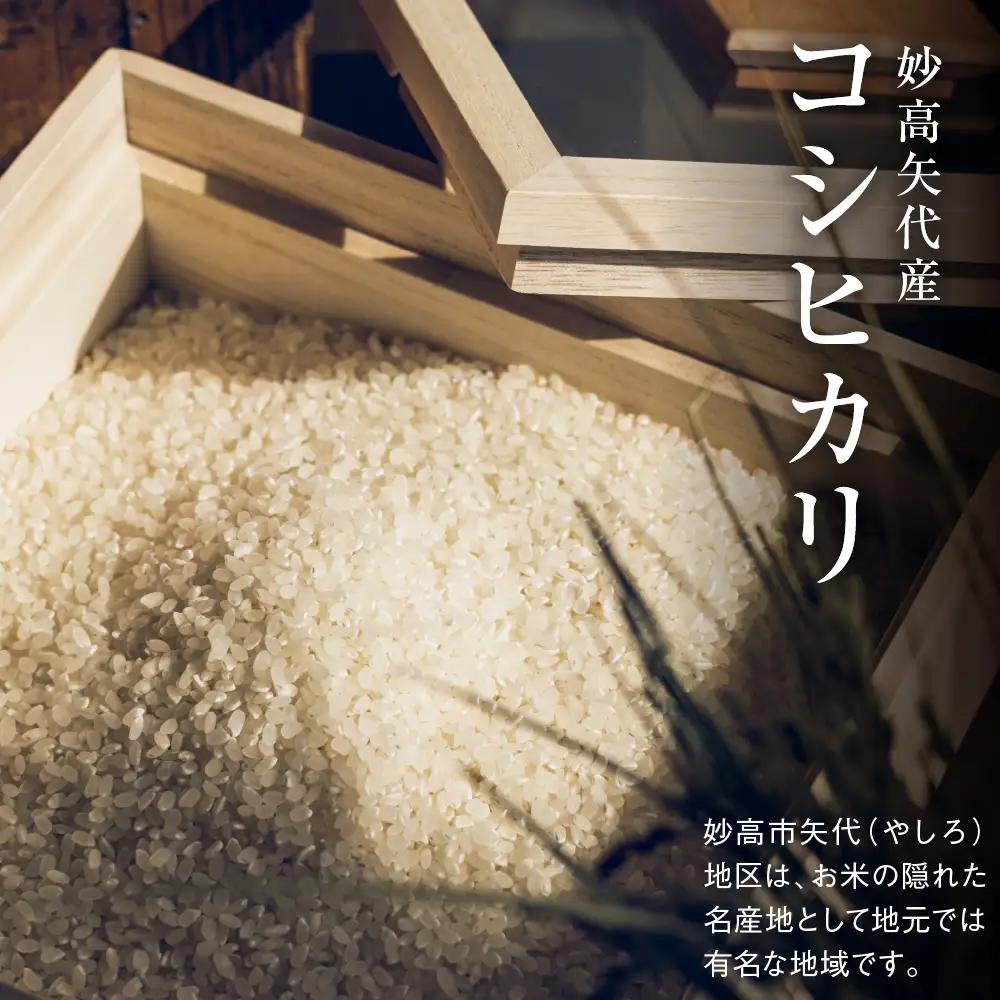 先行予約【令和8年産】服部米蔵の妙高矢代産コシヒカリ5kg　10月中旬から発送
