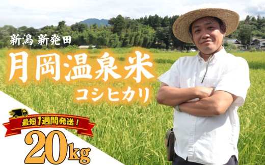 【最短1週間発送!！】 新潟県産 コシヒカリ 20kg 5kg×4袋 令和8年産 月岡温泉米 こしひかり 月岡 温泉 お米 こめ ご飯 ごはん おいしい 新潟 新潟県 米 5kg 20kg 新発田産 新潟産 朝食 昼食 夕飯 炊きたて 精米 watasho003_2026