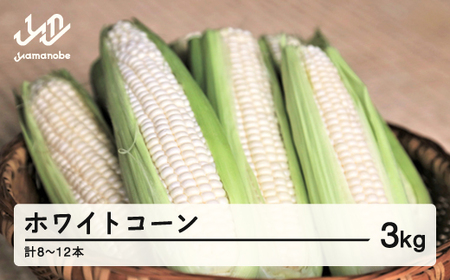 《先行予約》2025年 山形県産 ホワイトコーン 3kg(8~12本）生で味わう 白とうもろこし トウモロコシ コーン 夏 野菜 やさい ※沖縄・離島への配送不可 F21A-244