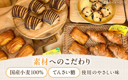 人気のパン 12個 バラエティ詰め合わせ 《豊前市》【ぱんのこ】 ぱん パン 取り寄せ 人気[VDU003]