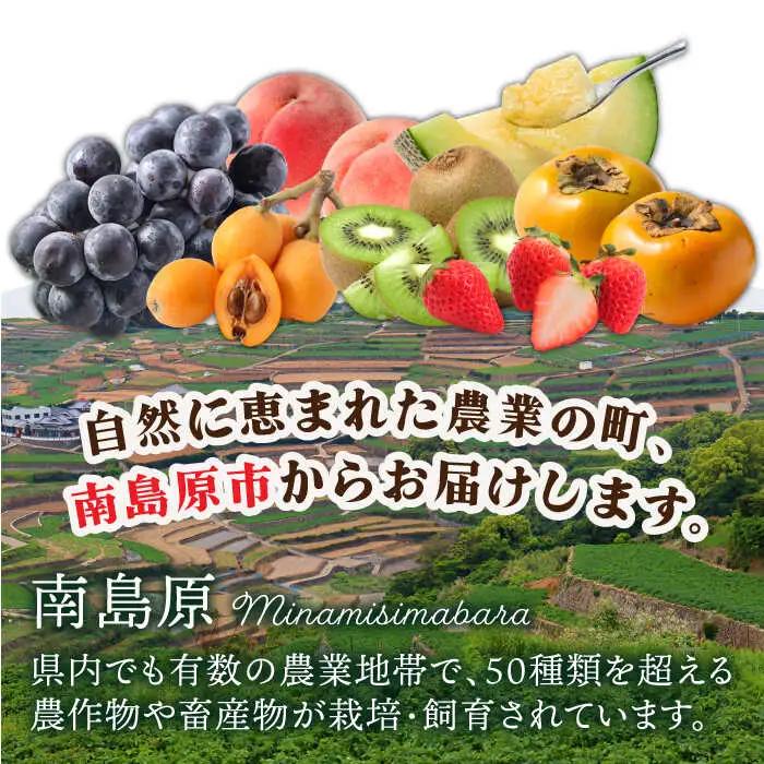 【4回定期便】旬フルーツ定期便 旬の果物をお任せで3品目お届け フルーツ定期便 [SCZ020]