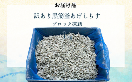 訳あり黒筋釜あげしらす 1kg IKTB016 