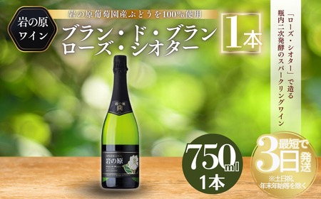 ワイン 岩の原スパークリングワイン 白 瓶内二次発酵 1本 （750ml） お酒 岩の原 酒 新潟 上越 最短3日で発送