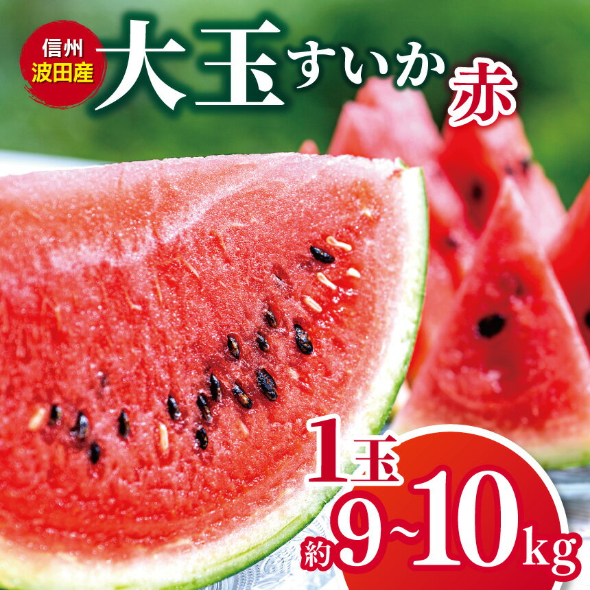 【ふるさと納税】【先行受付：2026年発送】信州波田産　大玉すいか（赤） 1玉 (約9～10kg) │ すいか スイカ 大玉 野菜 夏 果物 新鮮 自然 甘い 美味しい 波田 長野県 信州 松本 ふるさと納税