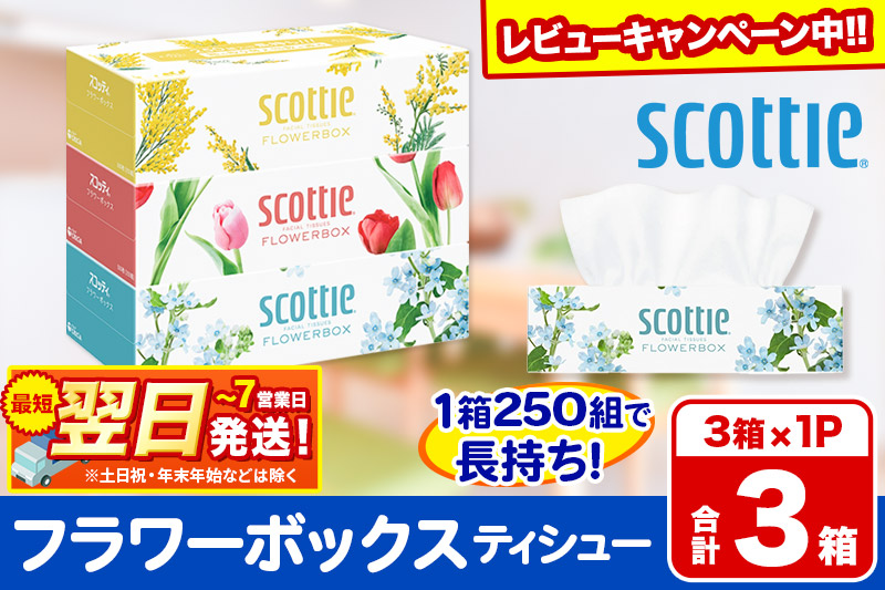 ティッシュペーパー スコッティ ティシュー フラワーボックス 250組 3箱パック×1パック【レビューキャンペーン中】 秋田市オリジナル