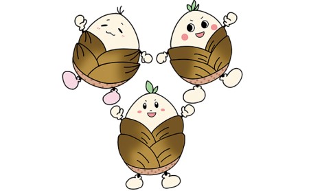 たけのこりん ぬいぐるみ 向日市ご当地キャラ たけのこりん