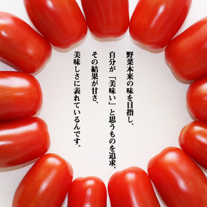 岩手県産 ミニトマト フラガール 1kg