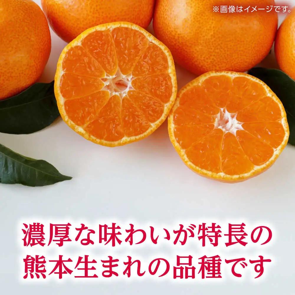 【先行予約】 訳あり 温州みかん 『白川』 約5kg S～Lサイズ 【奥村果実園】[ZFK003]