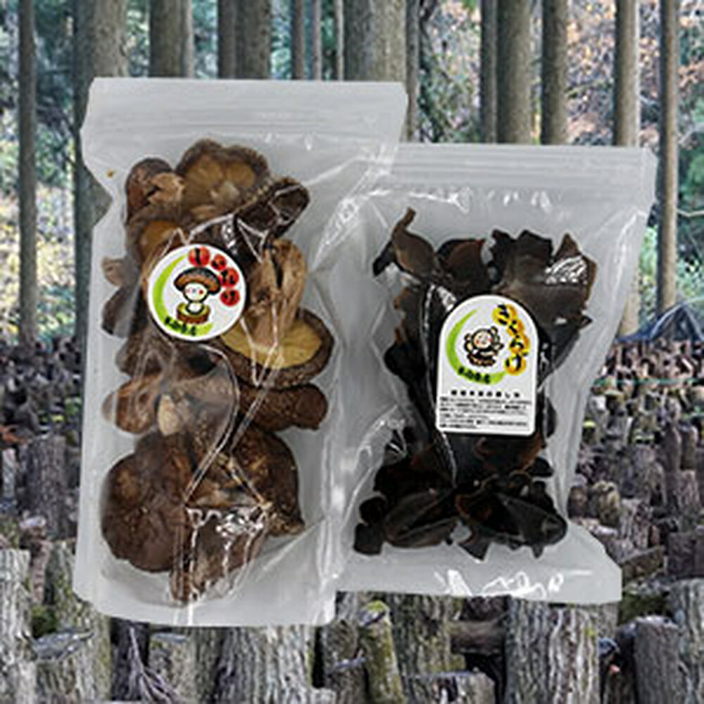 【ふるさと納税】耶馬溪乾し椎茸と木耳（きくらげ）セット 干し椎茸 干ししいたけ 干しシイタケ 乾燥椎茸 乾燥しいたけ 黒きくらげ キクラゲ きのこ 原木 ドライフーズ 乾物 中華食材 炒め物 おかず 国産 大分県産 九州産 中津市 送料無料