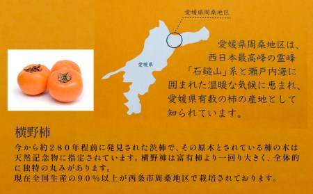 愛媛県西条産「吟選  あんぽ柿（８個）」（JA周桑）横野柿 高級柿 周ちゃん広場 化粧箱