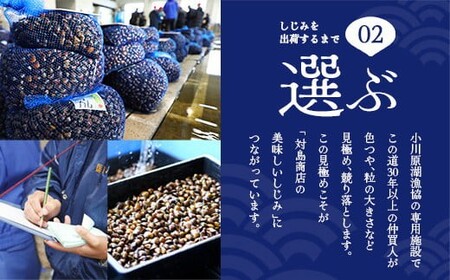 砂抜き済みで手間いらず！対島商店 活しじみ食べ比べセット【冷凍】（小川原湖のしじみ80g×5袋・十三湖のしじみ80g×5袋）　【02408-0145】