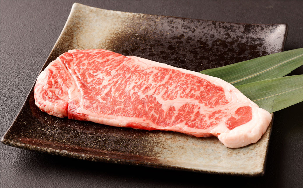 【定期便12か月】サーロイン肉1kg(5枚～6枚)馬刺し200g(赤身100g霜降り50gたてがみ50g)食べ比べセット