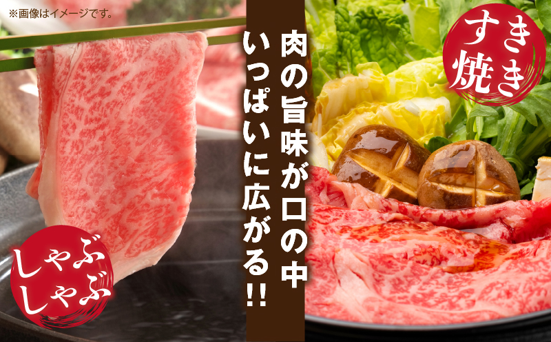 宮崎県産 黒毛和牛 リブロース スライス 計500g 肉 牛肉 ビーフ 国産 薄切り すき焼き すきやき しゃぶしゃぶ 牛丼 肉巻きおにぎり 冷しゃぶ 炒め物 焼肉 おかず 食品 お祝い 記念日 ご褒