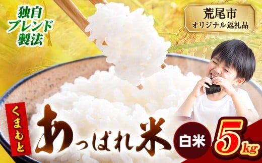 熊本県産 くまもとあっぱれ米 ブレンド米 5kg 熊本県産 ふるさと納税 白米 精米 米 こめ ふるさとのうぜい コメ お米 おこめ《12月中旬-2月末頃出荷》