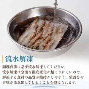 【活き〆】冷凍車海老 12尾 400g | 車海老 車海老 車海老 車海老 車海老 山口県 宇部市
