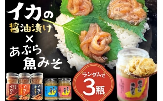 ご飯のお供 あぶらみそ イカ 醤油漬け 3本 ランダムでお届け [康貴丸水産 長崎県 平戸市 hr42bgy400203] お取り寄せ おにぎり おかず 具材 油味噌 魚 さかな 塩辛