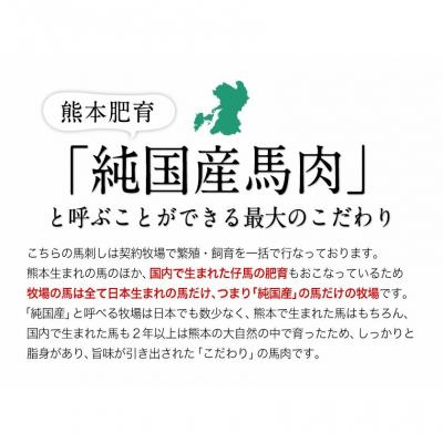 ふるさと納税 南阿蘇村 手作りハン馬ーグ 100g×10個 馬肉100%配合!《30日以内に出荷予定(土日祝除く)》 |  | 01