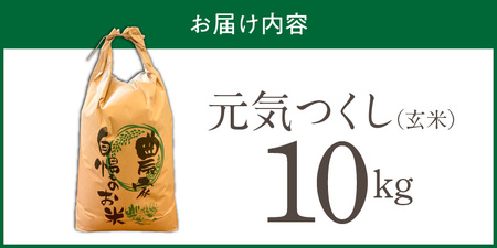 【2026年10月より順次発送】福岡県産ブランド米元気つくし 玄米 10kg【令和8年産 新米】 _  元気つくし 10kg 福岡県産 ブランド米 新米 福岡生まれ 品種 香り豊か ふっくら 食感 ご