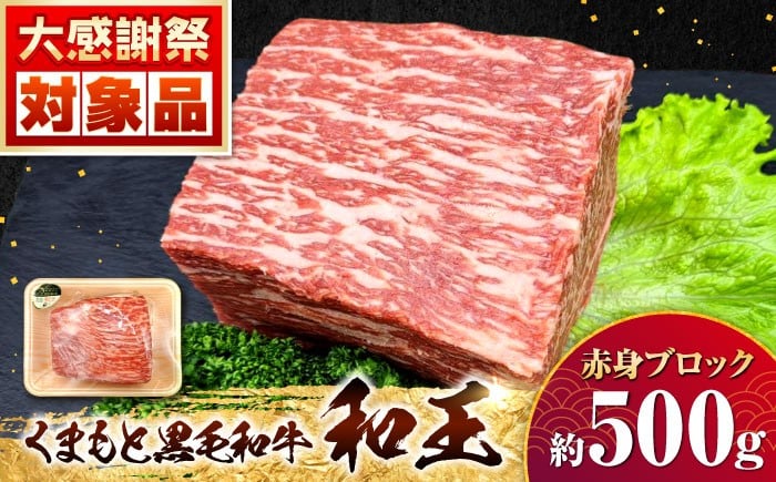 
            ＜訳あり・在庫過多＞熊本県産 A5等級 黒毛和牛 和王赤身ブロック 約500g【帝神志方ミート 株式会社】 牛 肉 モモ もも 赤身 ブロック ローストビーフ 焼き肉 バーベキュー A5 和牛 国産 熊本 くまもと黒毛和牛 ブランド牛   [AYCH014]
          