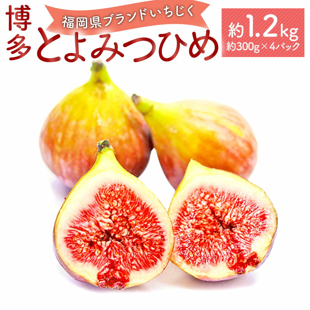 【ふるさと納税】＜予約＞福岡県ブランドいちじく「博多とよみつひめ」 合計1.2kg 約300g×4パック【2025年8月下旬～10月下旬発送予定】 いちじく イチジク 無花果 果物 フルーツ お取り寄せ 国産 福岡県 九州 冷蔵配送 送料無料