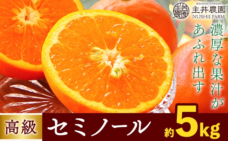 
                  柑橘 高級セミノール 約 5kg 主井農園《4月下旬-5月下旬頃出荷》 和歌山県 日高町 セミノール オレンジ みかん 柑橘 高級 希少 送料無料
                