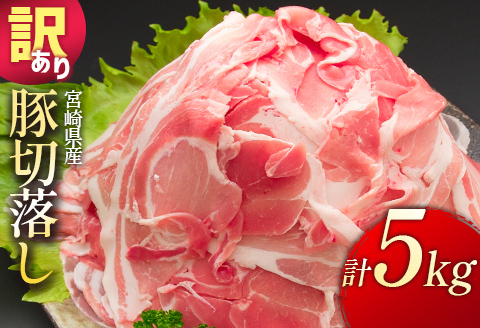 ＜配送月が選べる!!＞「訳あり」宮崎県産 豚切落し 5kg 2025年4月にお届け【C325-202504】