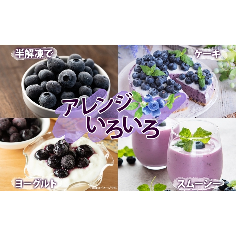 北海道 訳あり ブルーベリー 400g×2袋 9月以降順次出荷 果物 果実 フルーツ 新鮮 国産 ベリー 農作物 お取り寄せ グルメ ギフト 冷凍 長期 保存 送料無料 とうやMarche マルシェ_