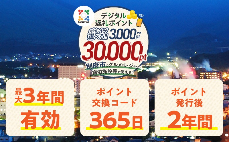 
                  ≪選べる返礼品≫LOCOPAYデジタル返礼ポイント
                