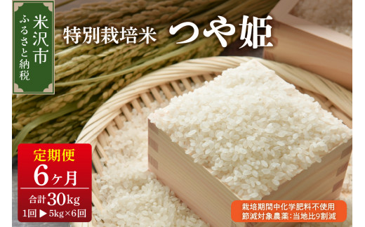 【先行予約】2026年10月配送開始 6ヶ月定期便 令和8年産 つや姫 5kg × 6回 計 30kg 特別栽培米 【栽培期間中化学肥料不使用・節減対象農薬：当地比9割減】