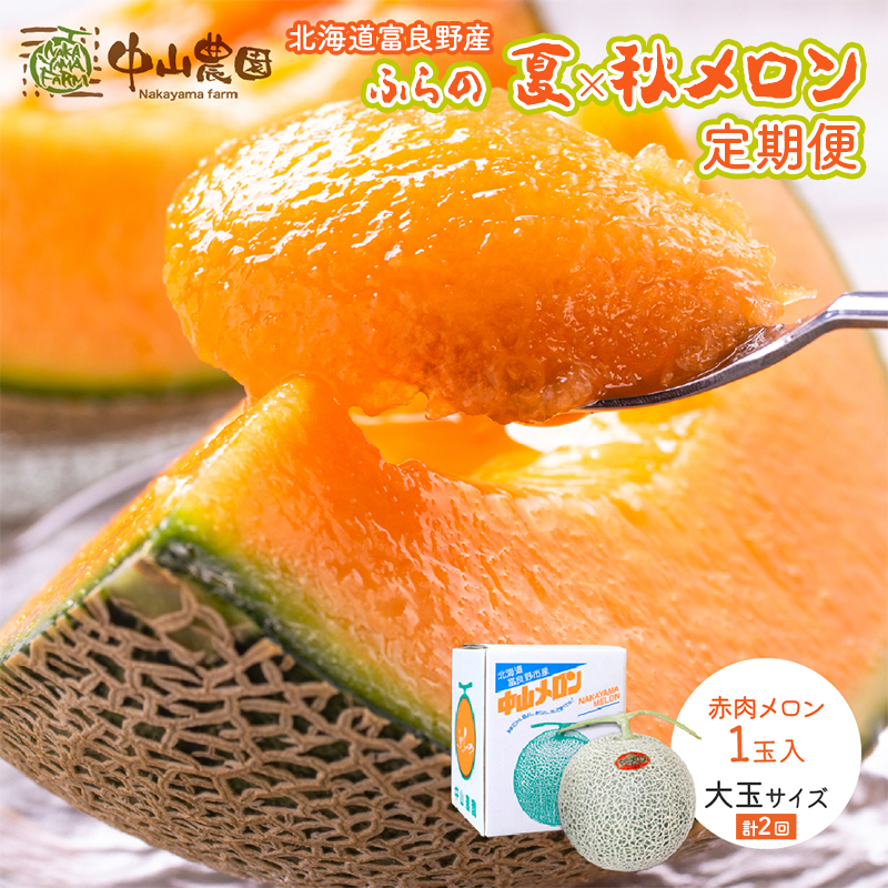 【2027年7～9月 全2回】計2回 ふらの 夏× 秋メロン 定期便 ≪計2玉≫ 北海道 富良野市 (中山農園) メロン フルーツ 果物