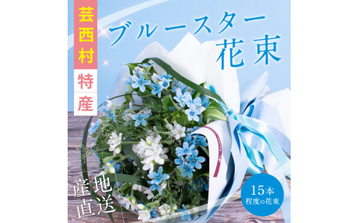 
《先行予約》芸西村特産ブルースター花束（約15本程度の花束）
