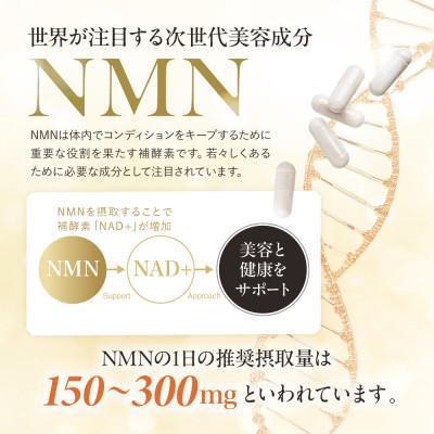 ふるさと納税 静岡市 NMNサプリ たっぷり贅沢NMN 18,000mg エクソソームプラセンタ配合 1個(約30日分) |  | 02