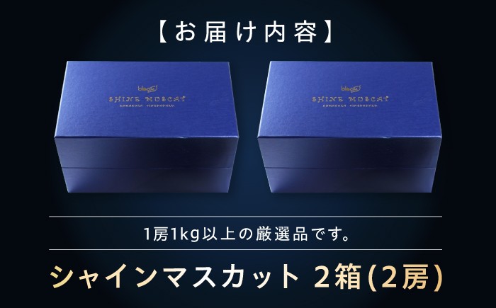 シャインマスカット しゃいんますかっと シャイン マスカット ますかっと Shine Muscat 2房 葡萄 ブドウ ぶどう