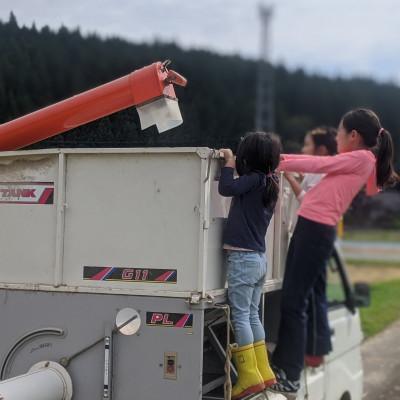 ふるさと納税 由利本荘市 令和7年産ササニシキ 精米10kg(5kg×2袋)<栽培期間中節減対象農薬:当地比5割減>真空パック |  | 02