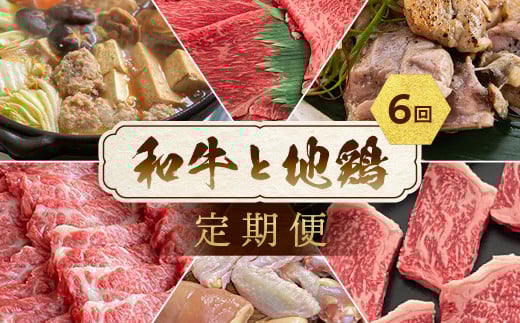 
            【訳あり 緊急支援】【6回定期便】和牛と地鶏 毎月交互にお届け＜京都亀岡丹波山本×ひら山＞京の肉＆地鶏丹波黒どり・丹波赤どり お楽しみセット≪生活応援 緊急支援 特別返礼品 不揃い≫
          