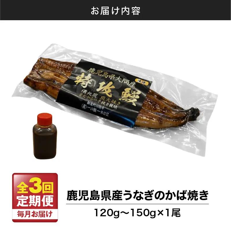 【 全3回 定期便 】 鹿児島県産 うなぎ の かば焼き 1尾 KN174-T01 定期 ウナギ 鰻 蒲焼き 冷凍