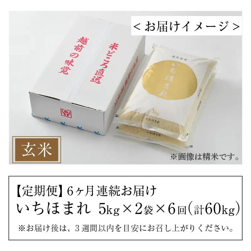 【令和7年産】定期便6回 いちほまれ 玄米 10kg×6回（計60kg）《新鮮な高品質米をお届け！》／ 福井県産 ブランド米 ご飯 [aw064-l003]