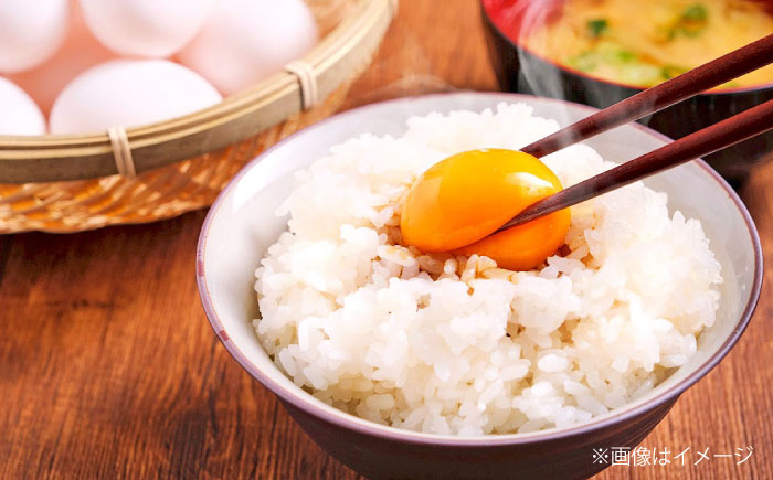 【全12回定期便】天心山 たまご 50個(10個入り×5パック) 卵 たまご 高級 食品 たまごかけご飯 卵かけご飯 卵焼き 生卵 濃厚 ケーキ お菓子 づくり ランキング 上位 人気 おすすめ 定期