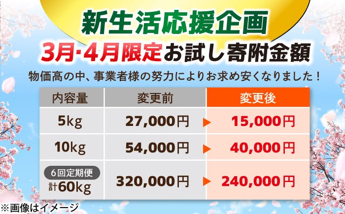 きぬむすめ 米 お米 白米 精米 ご飯 ごはん 産地直送 島根 松江 おすすめ