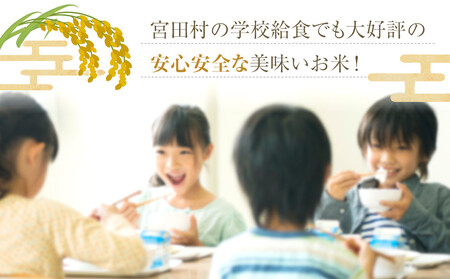 【予約受付】【令和７年米】【新米】長野県宮田村産コシヒカリ／玄米／30kg・60,000円／令和８年2月配送（ コシヒカリ ）