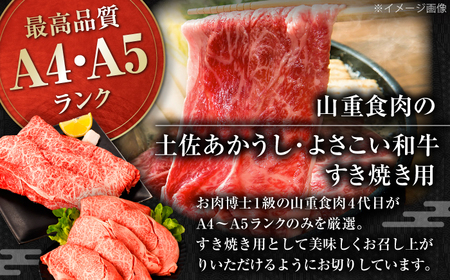 土佐あかうし＆よさこい和牛　すき焼き食べ比べ 各種約450g 総計約900g / やわらか ヘルシー うま味凝縮【(有)山重食肉】[ATAP187]