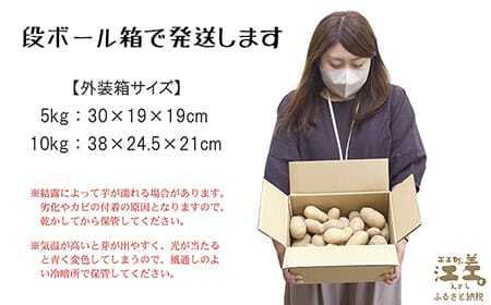【9月頃～順次出荷】北海道江差産 メークイン 10kg M・L混合　しっとり甘い江差産　秋の収穫　北海道のじゃがいも　いもの塩煮　いかの塩辛と一緒にどうぞ　じゃがバター
