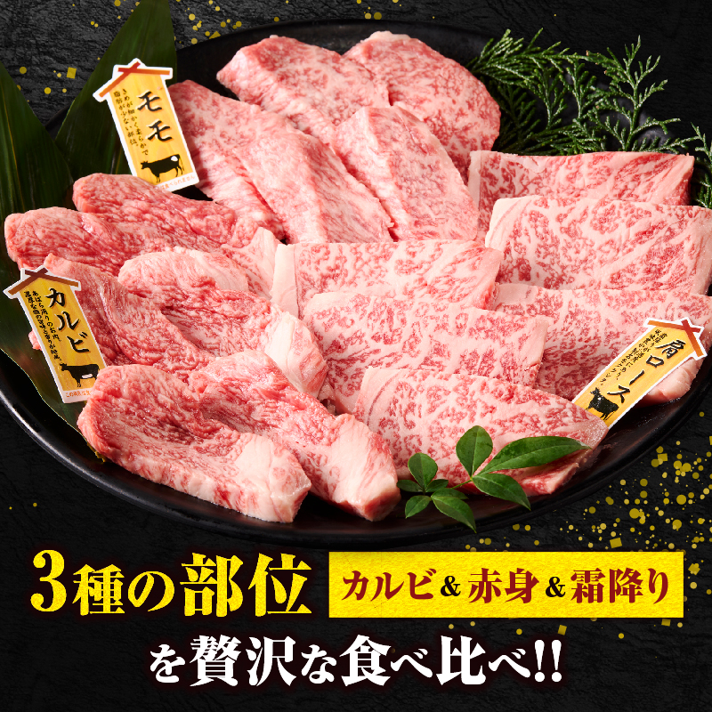 宮崎牛『焼肉』3種食べ比べセット(合計300g)肉 牛 牛肉 おかず 国産_T009-035【人気 ギフト 食品 すきやき しゃぶしゃぶ BBQ 贈り物 送料無料 プレゼント】